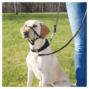 Trixie Korpa za pse trening Control - L–XL