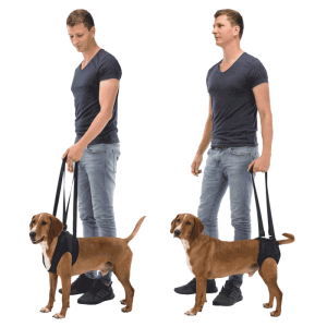 Trixie Pojas za pomoć pri kretanju Dog Walking Aid - L–XL