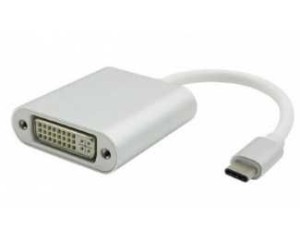 FAST ASIA Adapter - konvertor USB 3.1 tip C (M) - DVI (F) srebrni