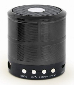 GEMBIRD Bežični Bluetooth zvučnik SPK-BT-08-BK/ crna