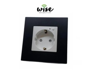 Wise WU8001 WiFi Smart utičnica ugradna bela