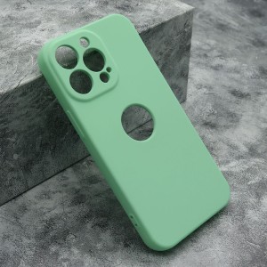 Futrola Color Vision za iPhone 13 Pro/ zelena