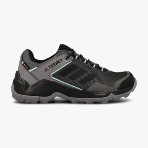 CIPELE TERREX EASTRAIL GTX W