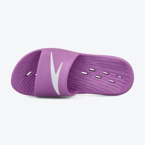 PAPUCE SPEEDO SLIDES ONE PIECE AF PURPLE W