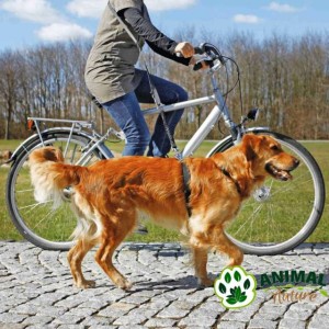 Povodac za bicikl i trčanje za pse, dužina povoca 1m-2m Trixie