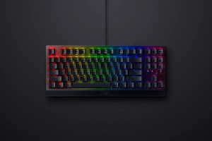 Razer Blackwidow V3 Tenkeyless mehanička gejmerska tastatura crna