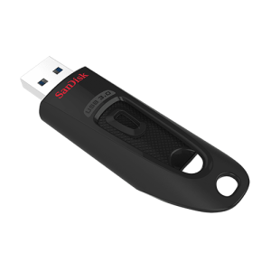 SANDISK USB flash memorija Cruzer Ultra 256GB SDCZ48-256G-A46