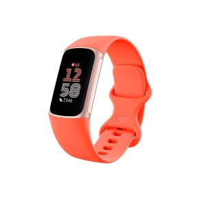 FITBIT Charge 6 Coral/Champagne Gold Aluminium Fitnes narukvica