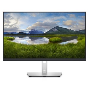 DELL 23.8" IPS P2422HE Monitor