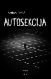 Autosekcija