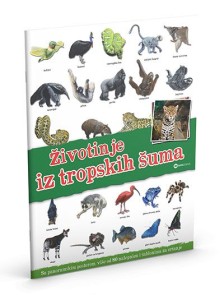 Panorama: životinje iz tropskih šuma