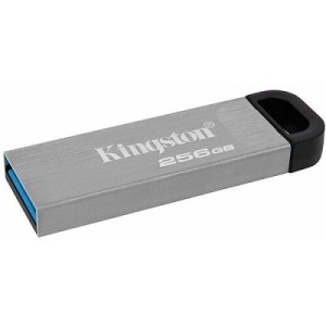 Kingston USB 256GB (  )