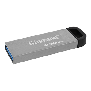 KINGSTON USB Flash memorija 256GB DTKN/256GB