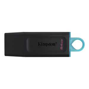 KINGSTON USB Flash memorija 64GB DTX/64GB