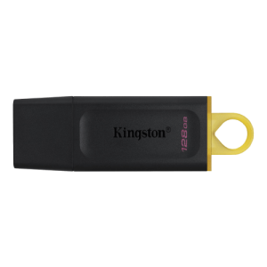 KINGSTON USB Flash memorija 128GB DTX/128GB