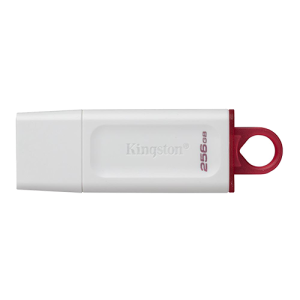 KINGSTON USB Flash memorija 256GB Exodia (Bela) KC-U2G256-5R